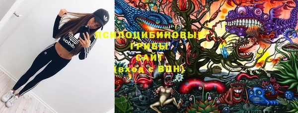 ECSTASY Бугульма