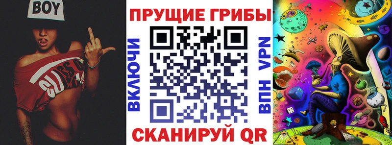 купить наркотик  Пенза  Галлюциногенные грибы Cubensis 