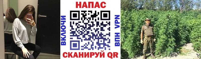 что такое наркотик  Пенза  кракен   Каннабис марихуана 